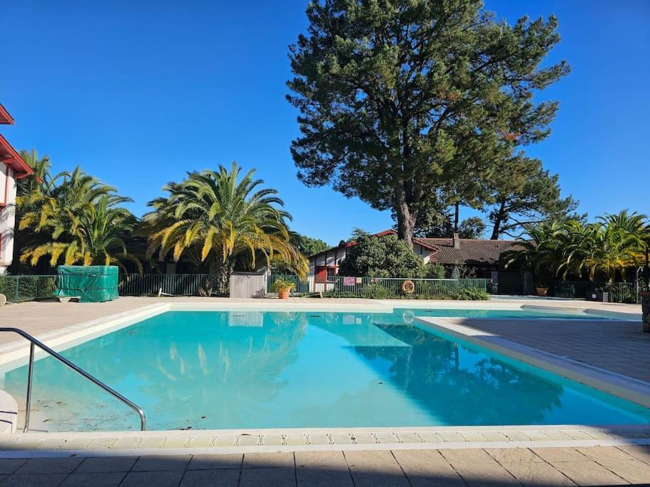 T2 Ciboure 4 Pers Avec Piscine Ideal Vacances Exterior photo